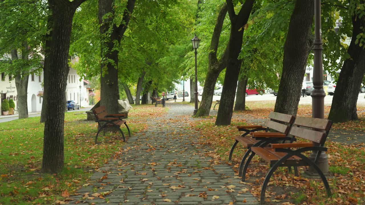Parkbank, somber bewolkt weer, vroege herfst