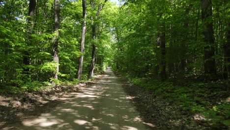 remote dirt forest road on sunny warm day in michigan, aerial dolly forward view