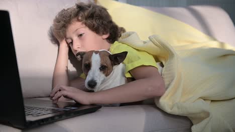 blond boy with curly hair using computer while lying with his dog on the sofa