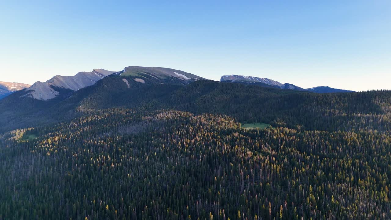 Aerial drone view of vast mountain range and dense evergreen forest in West Virginia under clear sky, showcasing untouched natural beauty and peaceful wilderness in warm daylight