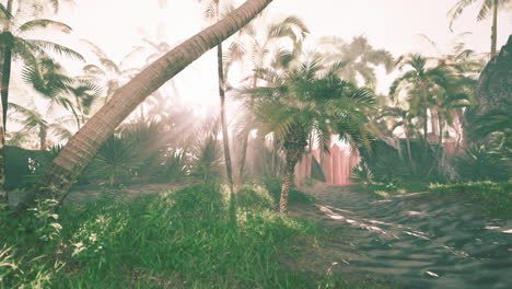 mysterious tropical beach path at sunset