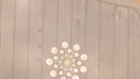 top-down drone view of mysterious crop circle in middle of farm land, andover