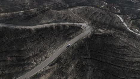 Aerial-view-following-white-vehicle-driving-curving-road-through-burned-forest-fire-remains