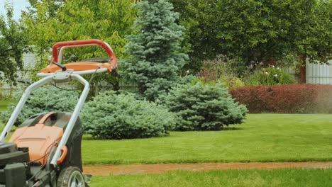 Close-up of watering the garden, grass and flowers in the Park, water drops in the sunlight. Automatic watering system for the grass and flowers. Drops of water are splashed in the sunlight.