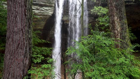 plunging waterfall in the forest loop