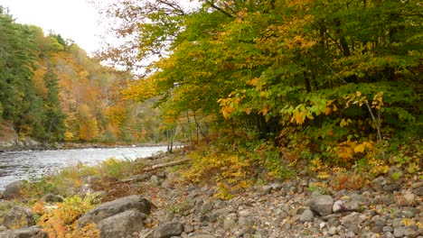 La-Naturaleza-Pintada-Es-El-Hermoso-Resultado-De-Las-Estaciones-Siempre-Cambiantes-En-Canadá