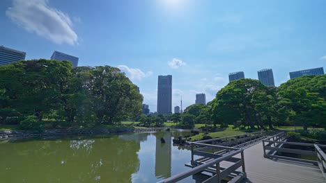 beautiful japanese traditional garden and pond with skyscrapers tokyo