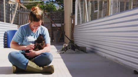 Dog-in-a-shelter-with-volunteer