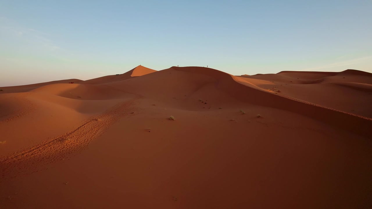 Golden sand dunes of the Erg Chebbi dune sea near Merzouga, Morocco, reveal wind sculpted forms and sweeping Saharan landscapes glowing in early sunrise light, drone forward flight shot.
