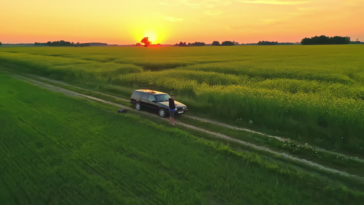 Aerial drone shot of beautiful sunset golden clear sky in spring fields oilseed rape crop