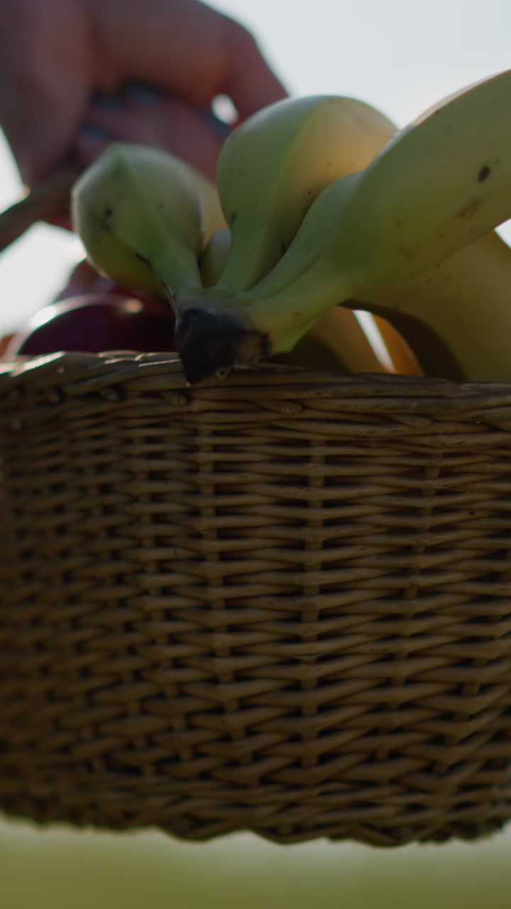 한 여자의 손은 바나나, 사과, 그리고 다른 과일로 가득 찬 바구니를 들고 울창한 잔디을 고 있는 모습을 볼 수 있다. 그 여자는 파란색 드레스를 입고 있으며, 그녀의 얼굴은 보이지 않는다.