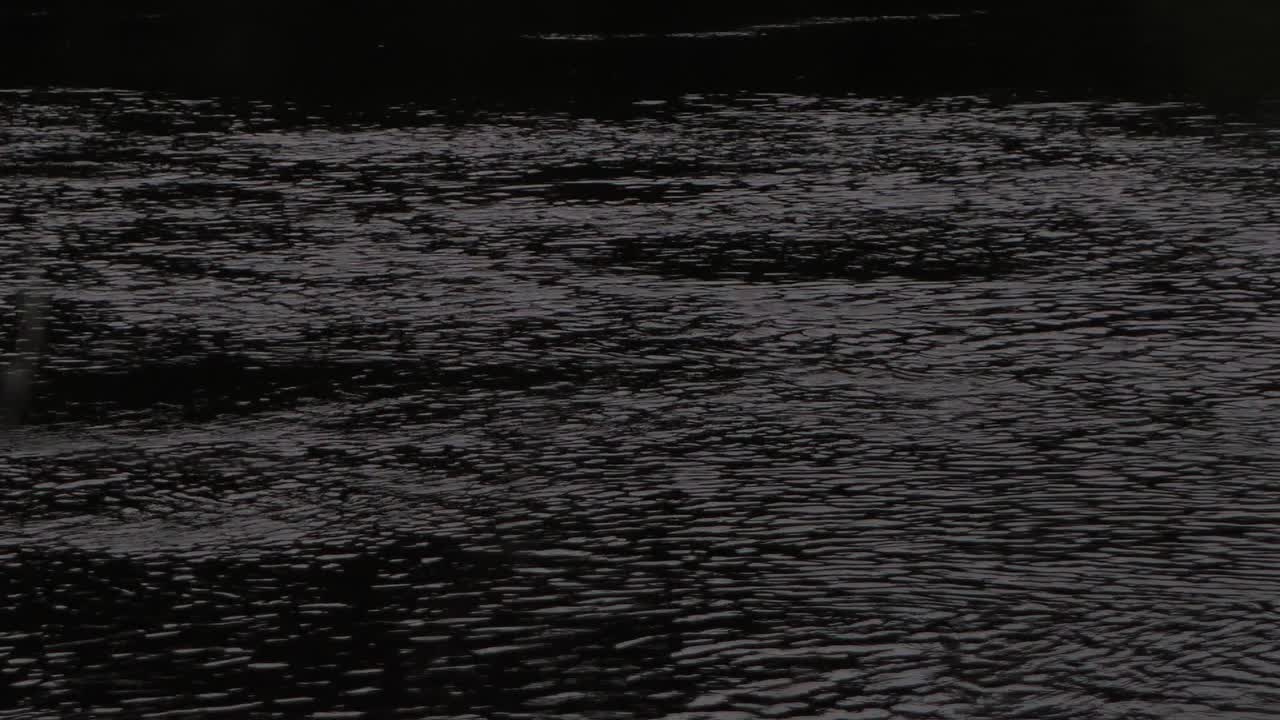 Dark waters of the river