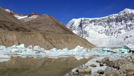 a static video shot of broken icebergs floating on calm water with the snowy glacier wall of mount san lorenzo in the background, patagonia, argentina