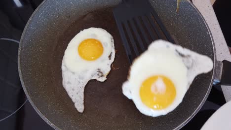 one fried egg, sunny side up, is served from a hot pan, close up