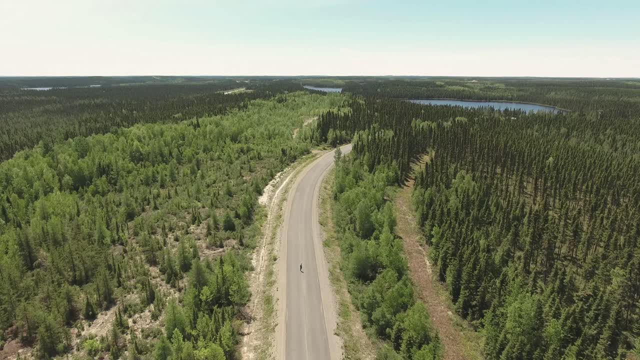 un chico está haciendo longboard en un camino solitario en un gran bosque canadiense