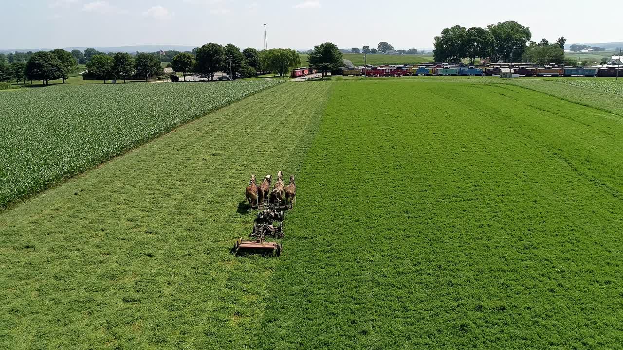 Horses and Amish farmer engage in plowing the field with classic farm equipment