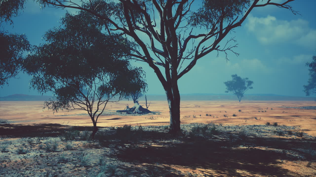 grandes árboles de acacia en las llanuras abiertas de la sabana de namibia