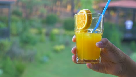 orange juice cocktail in a garden