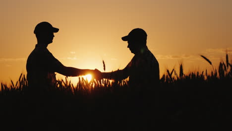 Silhouettes-Of-Two-Farmers-In-A-Wheat-Field-Looking-At-Ears-Of-Corn