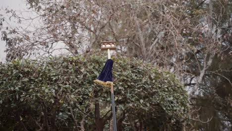 Palo-Largo-Que-Se-Lleva-En-La-Procesión-Durante-La-Semana-Santa-En-La-Calle-De-Antigua-En-Guatemala