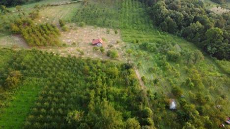 remote cabin in forested bosnian hills – aerial drone view