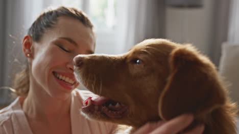 fluffy dog enjoy caressing by female owner at home closeup. woman scratching pet