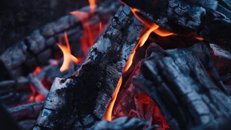 smoldered logs in burnt fire. dark firewood with light flame in slow motion. close-up.
