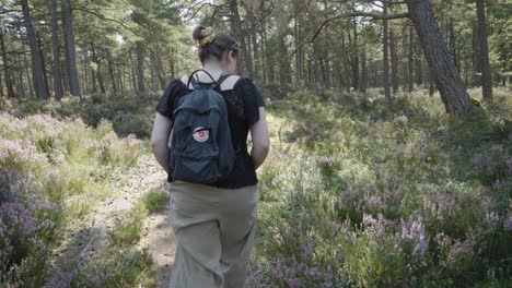 Eine-Frau-Geht-Durch-Wald-Und-Heide,-Die-Kamera-Folgt-Ihr