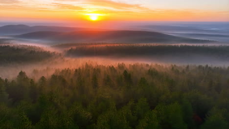 sunrise over a misty forest with sunbeams