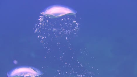 slomo bubbles from a scuba diver rises up to the surface in slow motion