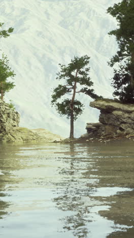 a lone tree stands on a cliff overlooking a calm lake with a misty mountain backdrop.