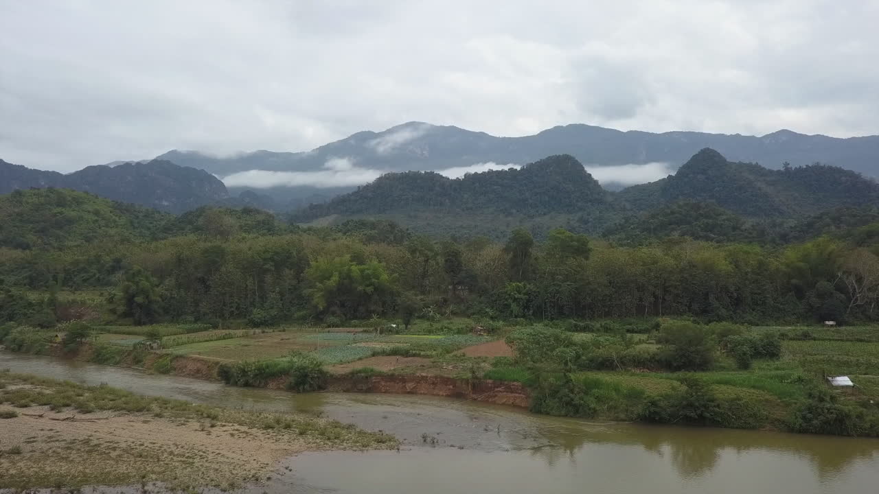 Vista aerea che si eleva sopra gli alberi lungo un fiume nella giungla per rivelare campi agricoli