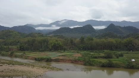 aerial rises over trees by jungle river to reveal agriculture fields