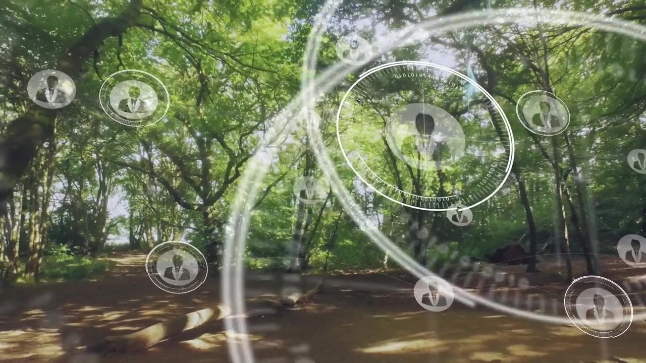 Grafica di rete traslucida che si anima su una radura boschiva con anelli binari e nodi avatar.