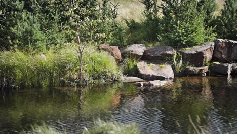 Un-Río-Poco-Profundo-Con-Orillas-Rocosas