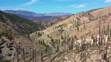 aerial over burned forests with vegetation returning near lake tahoe, california