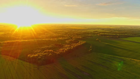 Aerial-perspective-of-forests-with-lush-green-foliage-entering-spring,-illuminated-by-the-setting-sun