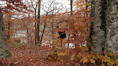 A-man-walks-from-right-to-left-with-a-backpack-on-during-stunning-fall-colours-in-autumn-season-with-leaves-all-over-the-ground