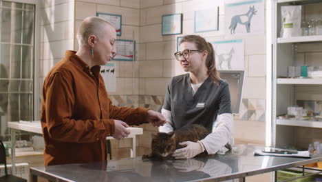 woman speaking with vet and petting cat in clinic