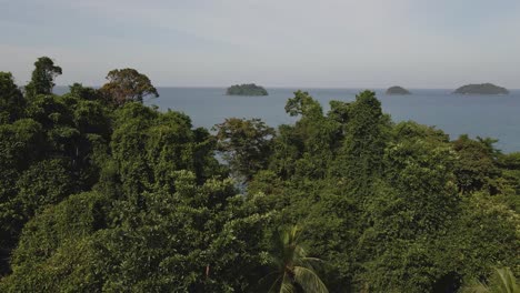 Antena-Ojo-De-Pájaro-Drone-Dolly-Rotación-Pan-Shot-De-Densa-Selva-Tropical-Selva-Tropical-árboles-Y-Vegetación-Con-El-Océano-Y-Las-Islas-En-El-Fondo-60fps