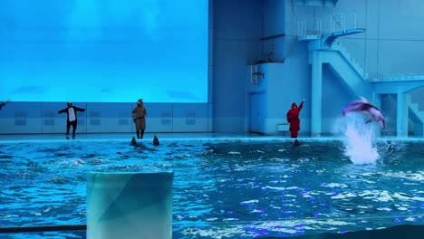 people in costumes perform with a dolphin in an aquarium show in tokyo, vibrant setting