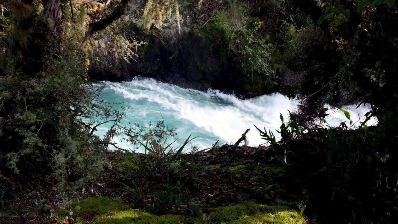 Scorcio di rapide di acqua bianca attraverso la vegetazione sul fiume Waikato alle cascate Huka a Taupo, Nuova Zelanda Aotearoa.