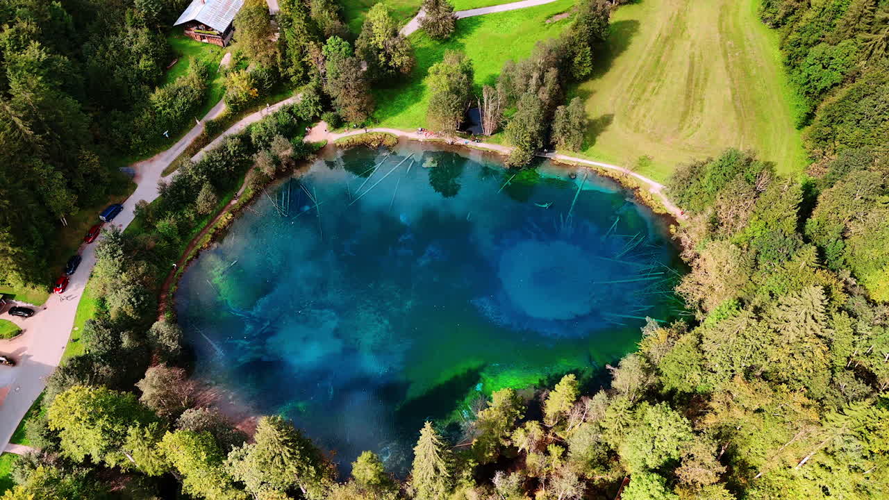 Deep blue lake with tree trunks in it. Drone footage above the Christlessee lake, Oberstdorf, Bavarian Alps, Europe.