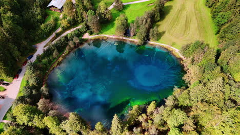 deep blue lake with tree trunks in it. drone footage above the christlessee lake, oberstdorf, bavarian alps, europe.