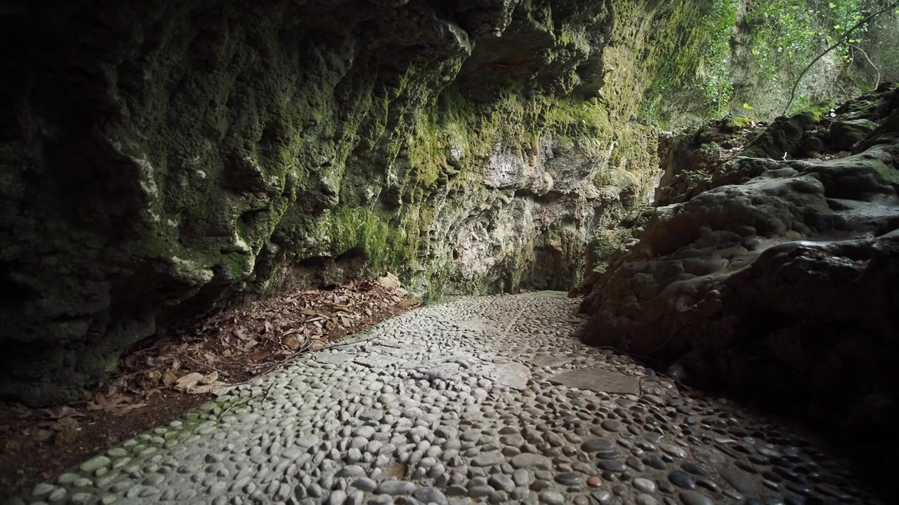 Pebble Path Winding Through a Moss-Covered Grotto