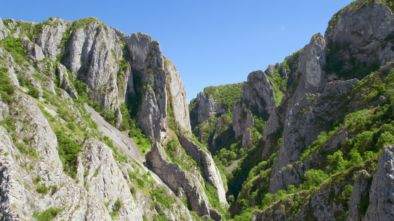 Vista aérea de drone de um cânion rochoso na Romênia. Penhascos rochosos com vegetação