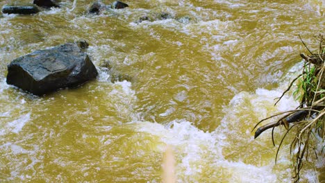 Río-Dorado-Que-Fluye-Rápidamente-A-Través-De-La-Selva-Tropical-Con-Rocas-Y-Corriente-Rápida