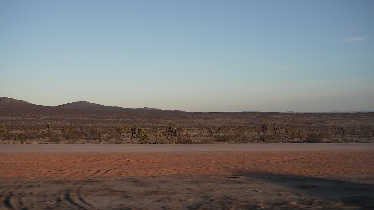 conduciendo a lo largo del desierto de mojave mirando por la ventana del pasajero a un bosque de árboles de joshua - plantas espinosas que alcanzan el cielo en este áspero páramo