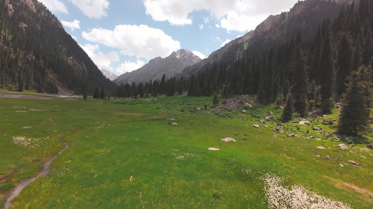 FPV-dronecruise over Karakol Valleys frodige engbekken, og avslører bølgende grøntområder og fjerne topper i sommerlys Karakol