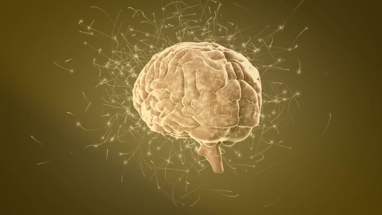 animación de rastros de luz sobre el cerebro digital en fondo marrón.